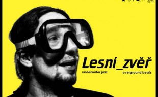 Lesní Zv?? - underwater jazz overground beatz